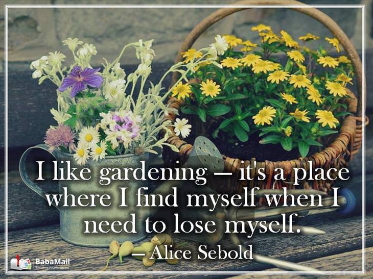 i like gardening it’s a place where i find myself when i need to lose myself. alice sebold