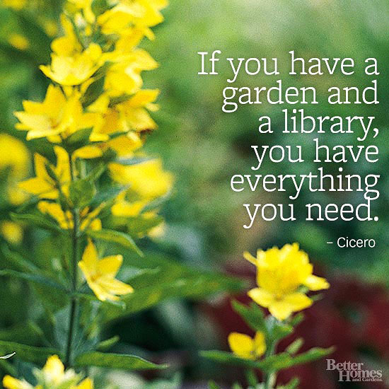 if you have a garden and a library, you have everything you need. cicero