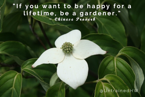 if you want to be happy for a lifeitme, be a gardener. chinese proverb