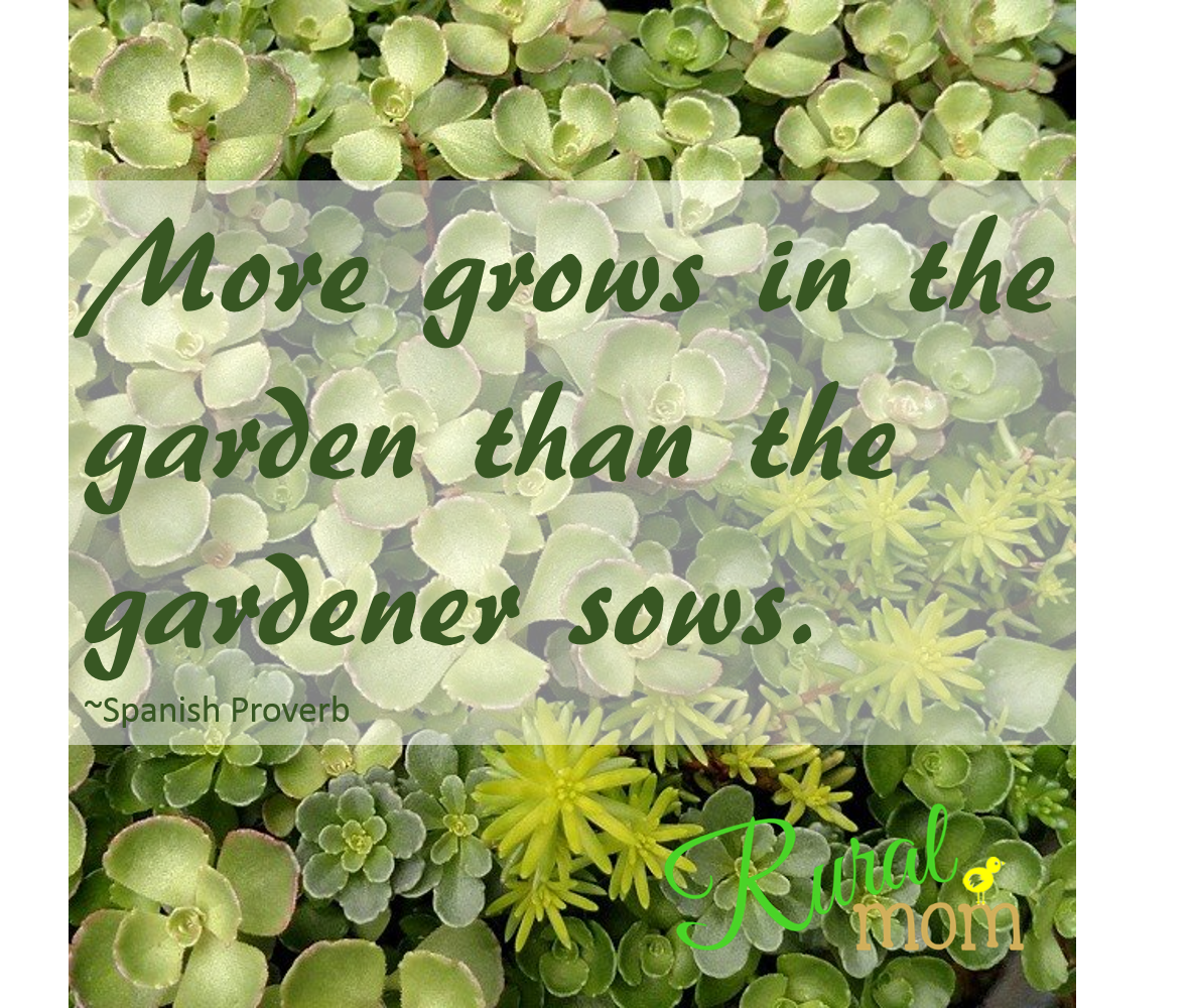 more grows in the garden than the gardener.