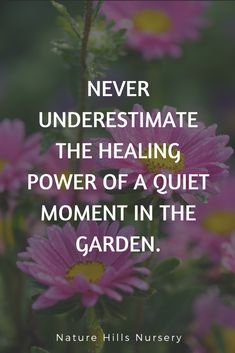 never underestimate the healing, power of a quiet moment in the garden.
