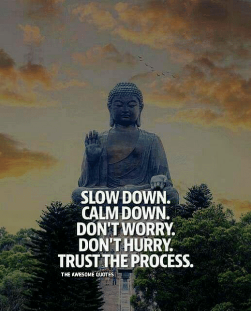 slow down. calm down. dont worry. dont hurry. trust the process.