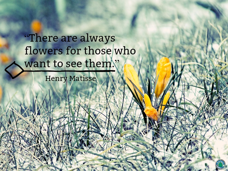 there are always flowers for those who want to see them. henry matisse