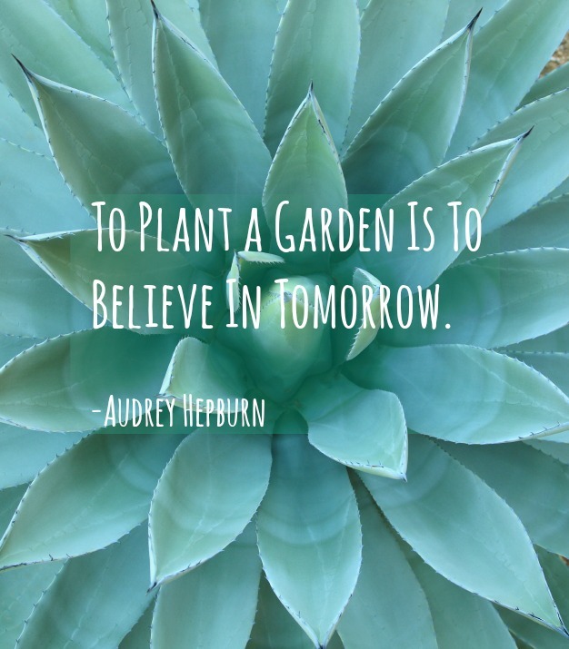 to plant a garden is to believe in tomorrow. audrey hepburn