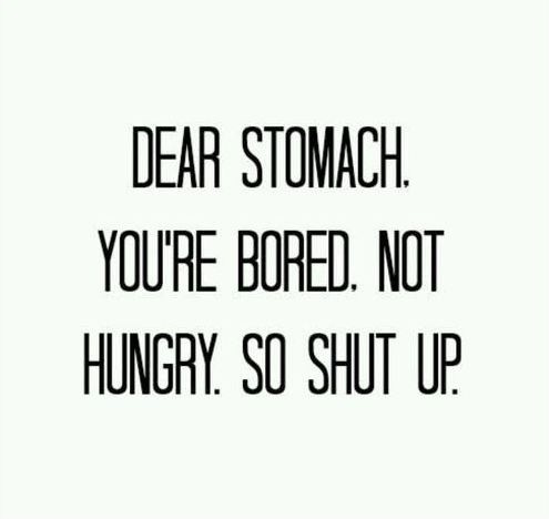 dear stomach. you’re bored. not hungry. so shut up