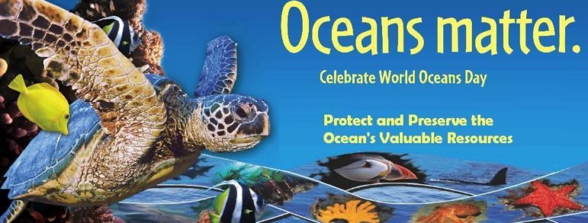 oceans matter celebrate world Oceans Day