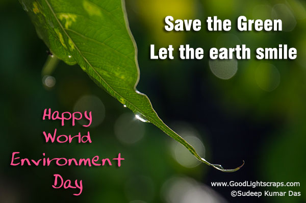 save the green let the earth smile happy World Environment Day