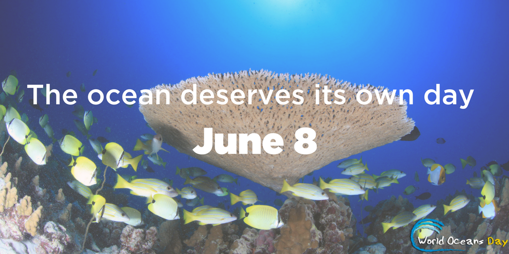 the ocean deserves its own day june 8