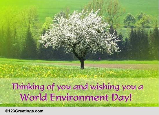 thinking of you and wishing you a world environment day
