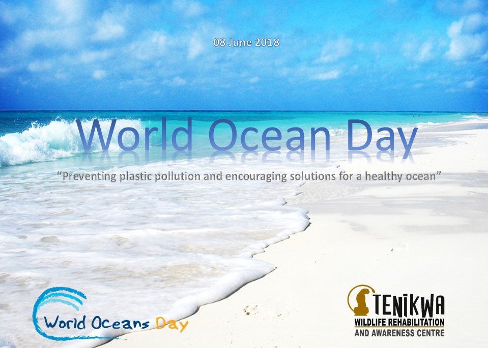 world Oceans Day preventing plastic pollution encouraging solutions for a healthy ocean