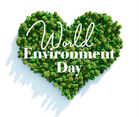 world environment day heart shaped trees picture