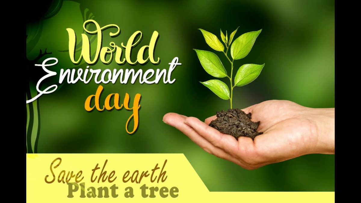 world environment day save the earth plant a tree