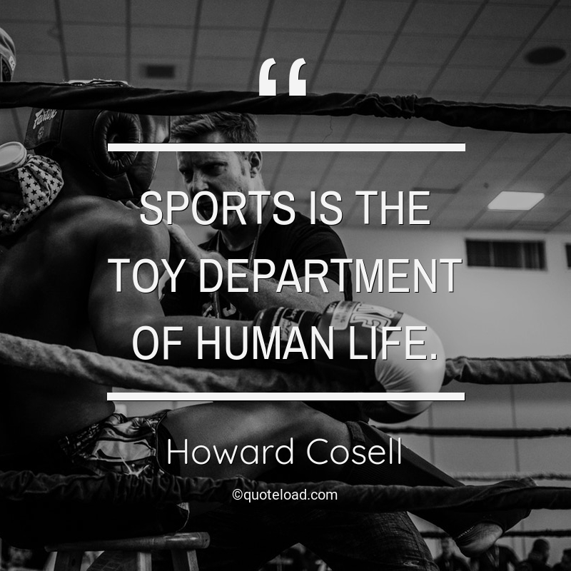 Sports is the toy department of human life. howard cosell