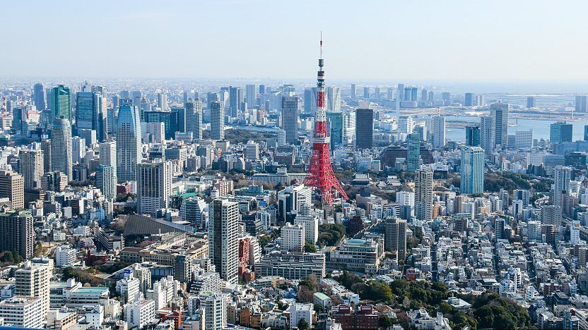 beautiful view of the Tokyo Tower