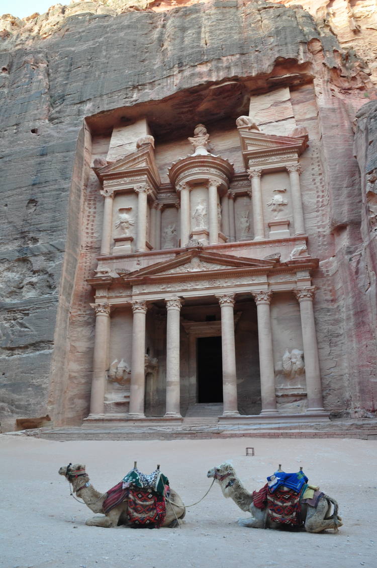 camels sitting on front facade of the Petra