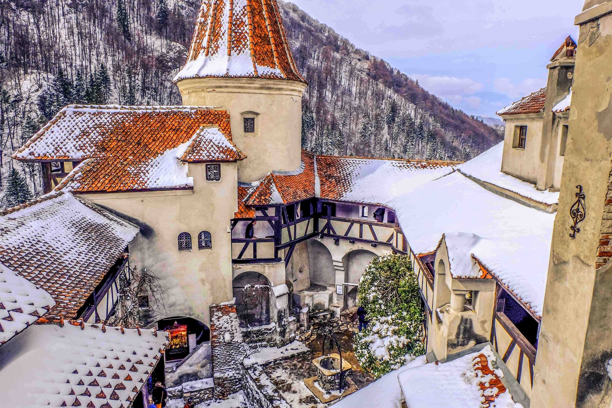 the bran castle covered with snow