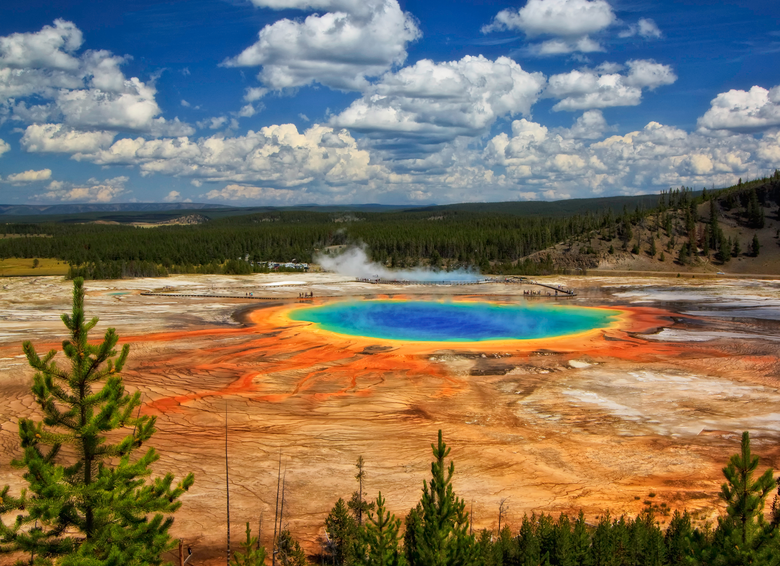 the yellowstone national park view