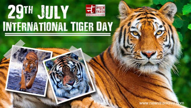 29th july international tiger day