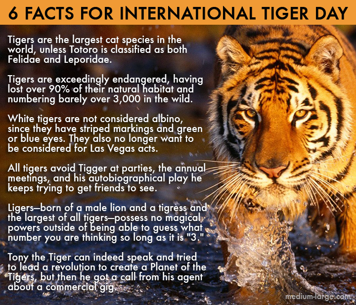 6 facts for international tiger day