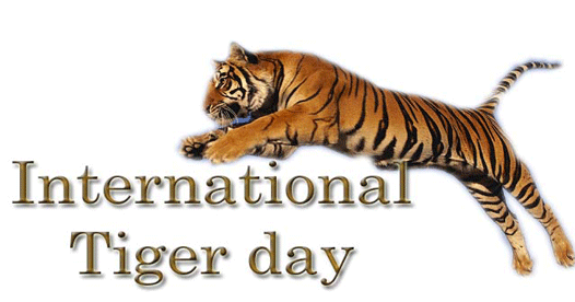 international tiger day jumping tiger
