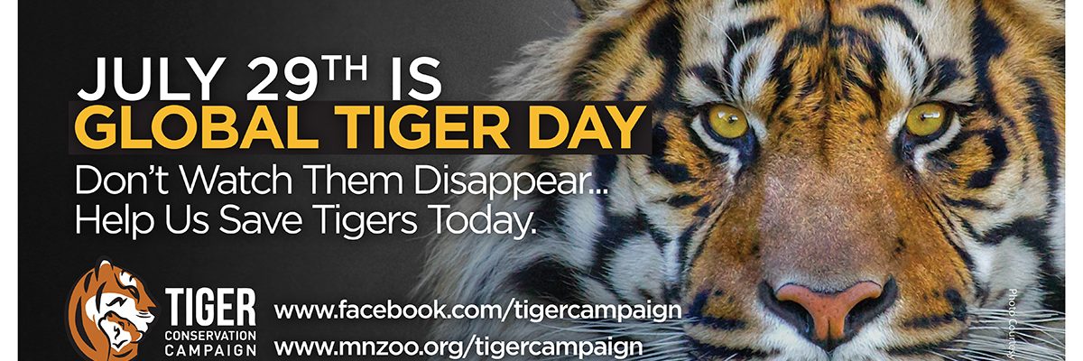 july 29th is global tiger day