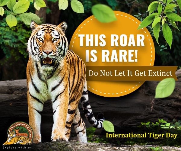 this roar is rare do not let it get extinct international tiger day
