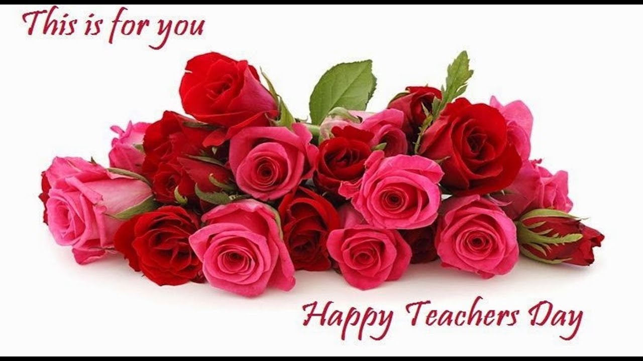 this is for you happy teachers day rose flowers