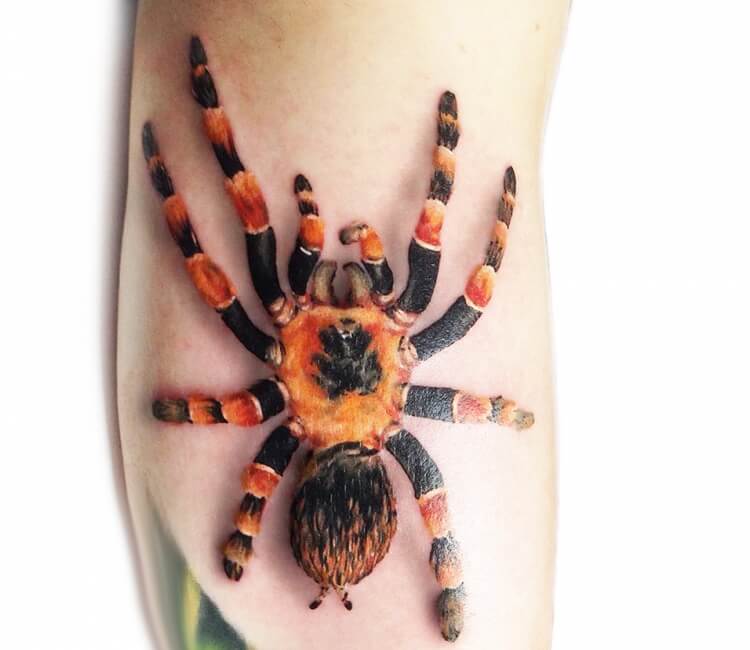 3D Colored Tarantula tattoo By Sergey Hoff