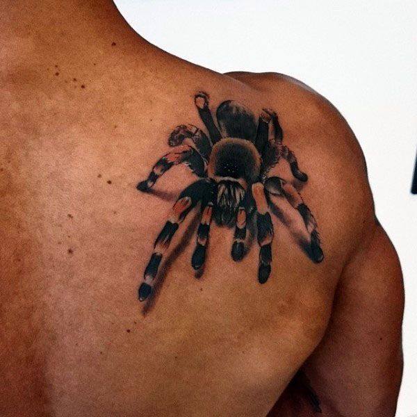 3D Realistic Tarantula Tattoo Idea For Men Back Shoulder