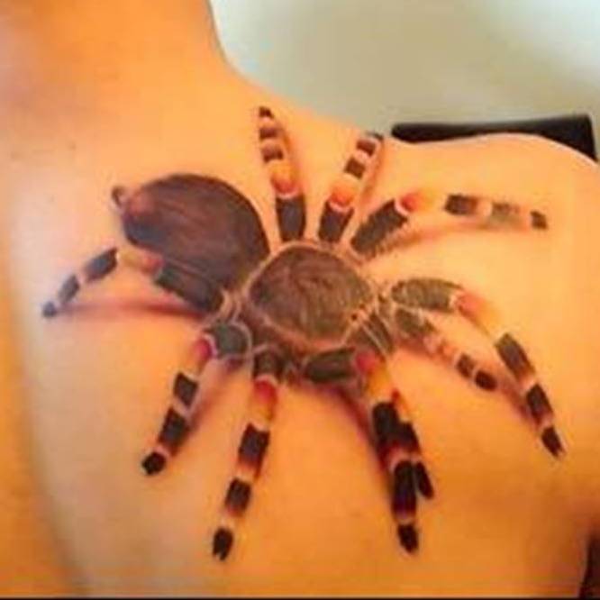 3D Tarantula Tattoo For Girl Back Shoulder