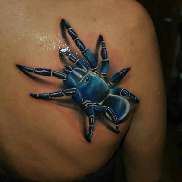 Awesome 3D Blue Tarantula Tattoo On Back Shoulder