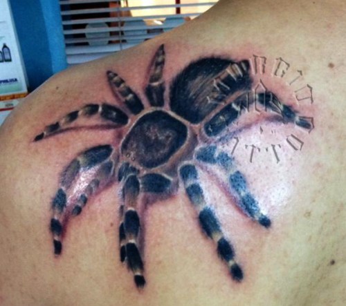 Black Tarantula Tattoo Design For Men Back