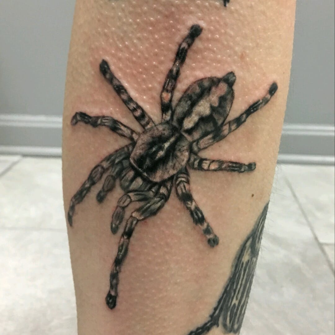 Black Tarantula Tattoo On leg by Brooke Lorin Cavallucci