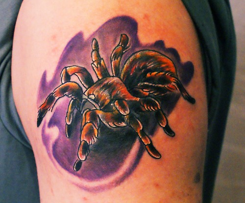 Colorful Tarantula Tattoo On Shoulder
