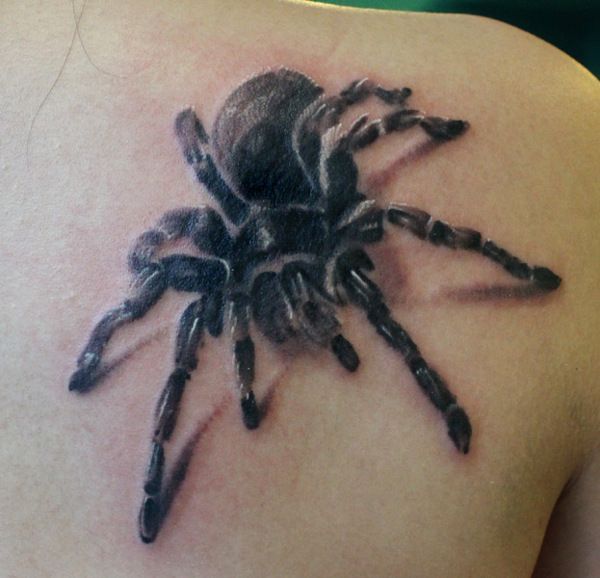 Dark Tarantula Tattoo On Back Shoulder by Rob Kelly