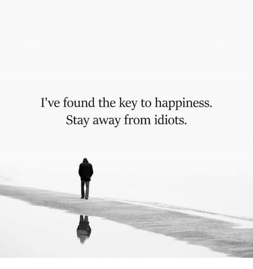 I found the key to happiness. Stay away from idiots.