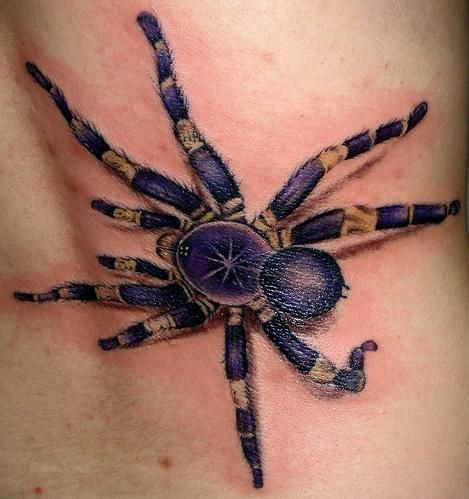 Purple Colored Tarantula Spider Tattoo Design