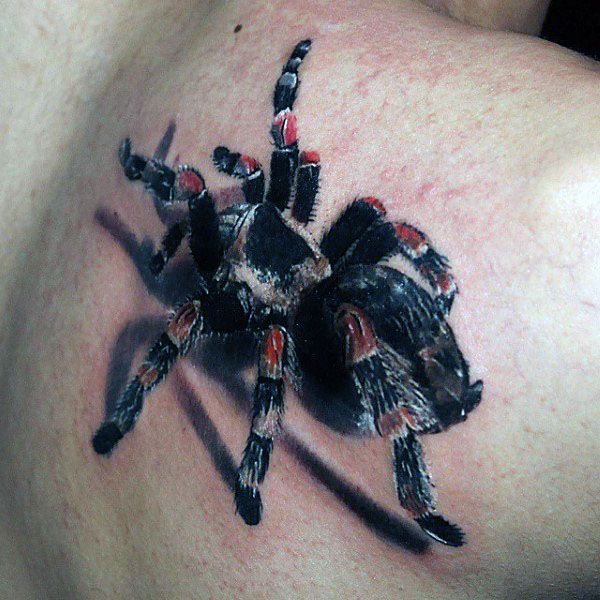 Realistic 3D Tarantula Tattoo On Back Shoulder