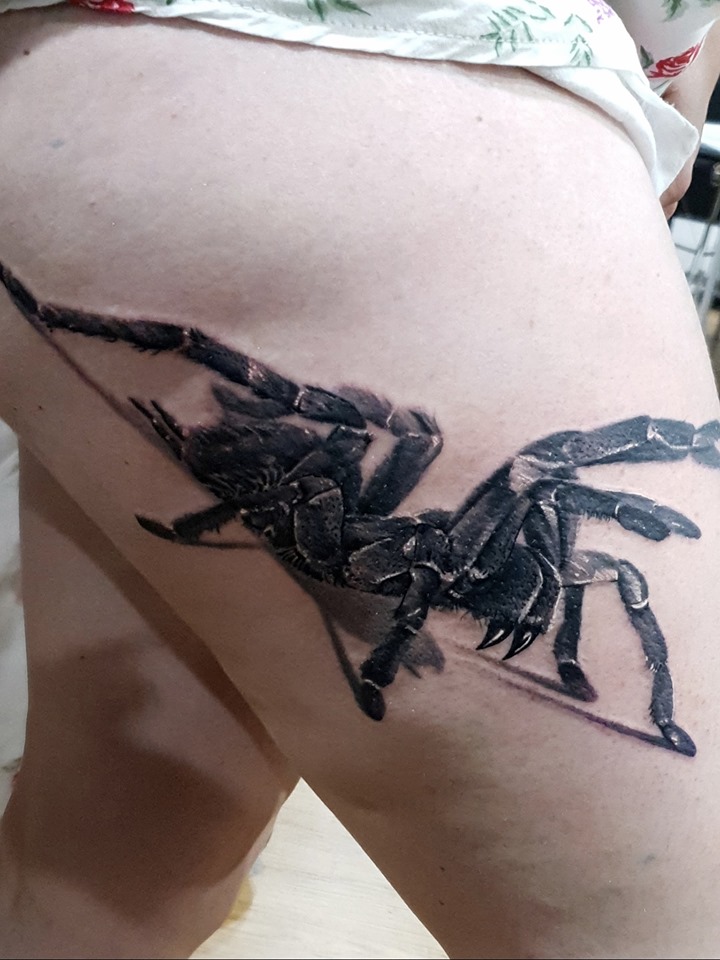 Wonderful 3D Spider Tattoo On Girl Thigh By Levi Bell