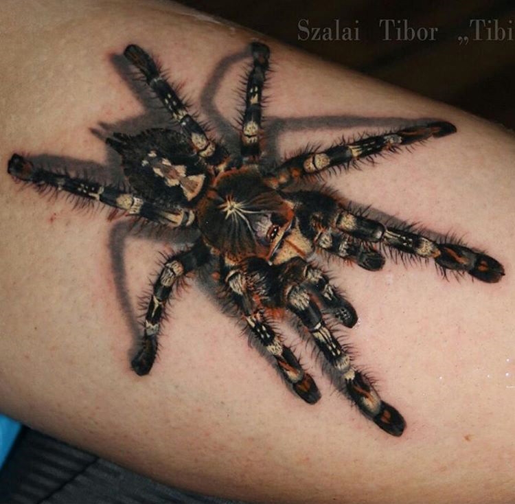 Wonderful Realistic 3D Tarantula Tattoo On Arm
