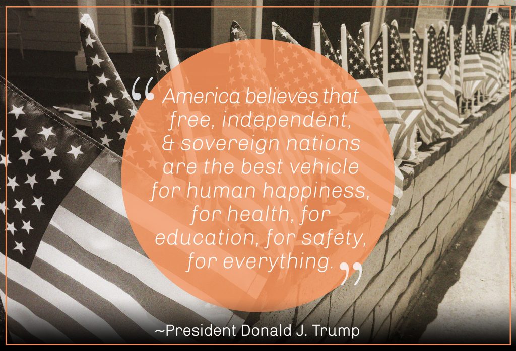 America believes that free independent and sovereign nations are the best vehicle for human happiness for health for education for safty for everything – Donald J. Trump