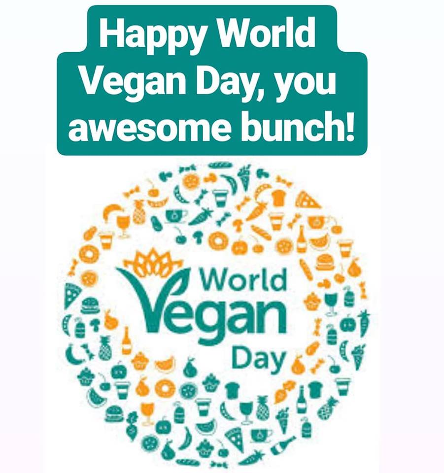 happy world vegan day awesome bunch