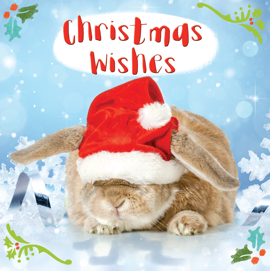 christmas wishes bunny