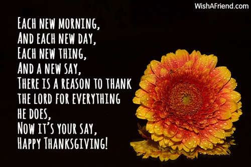 each new morning and each new day, each new thing and a new say happy thanksgiving