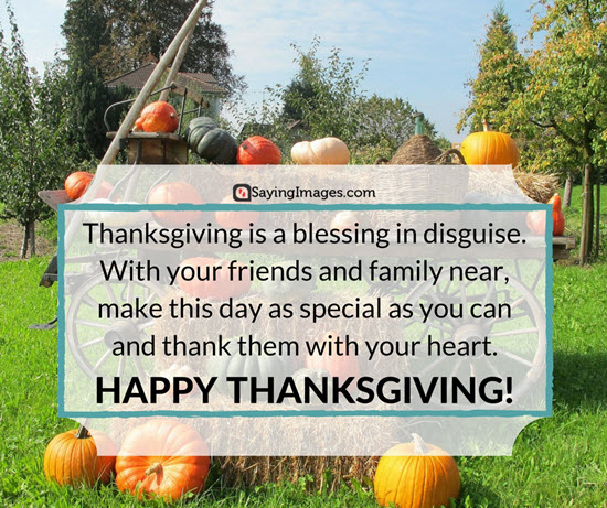 thanksgiving is a blessing in disguise with your friends and family near happy thanksgiving