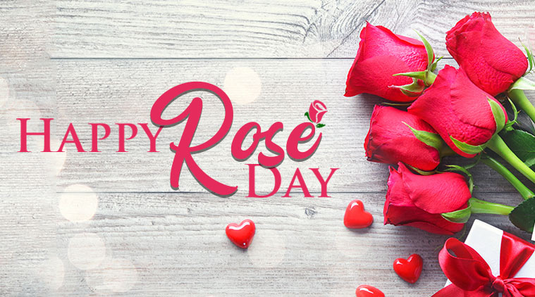 100+ Most Beautiful Rose Day 2020 Wish Pictures And Images