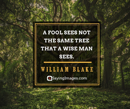 a fool sees not the same tree that a wise man sees. william blake