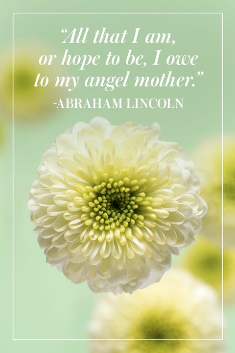 all that i am , or hope to be, i owe to my angel mother. abraham lincoln