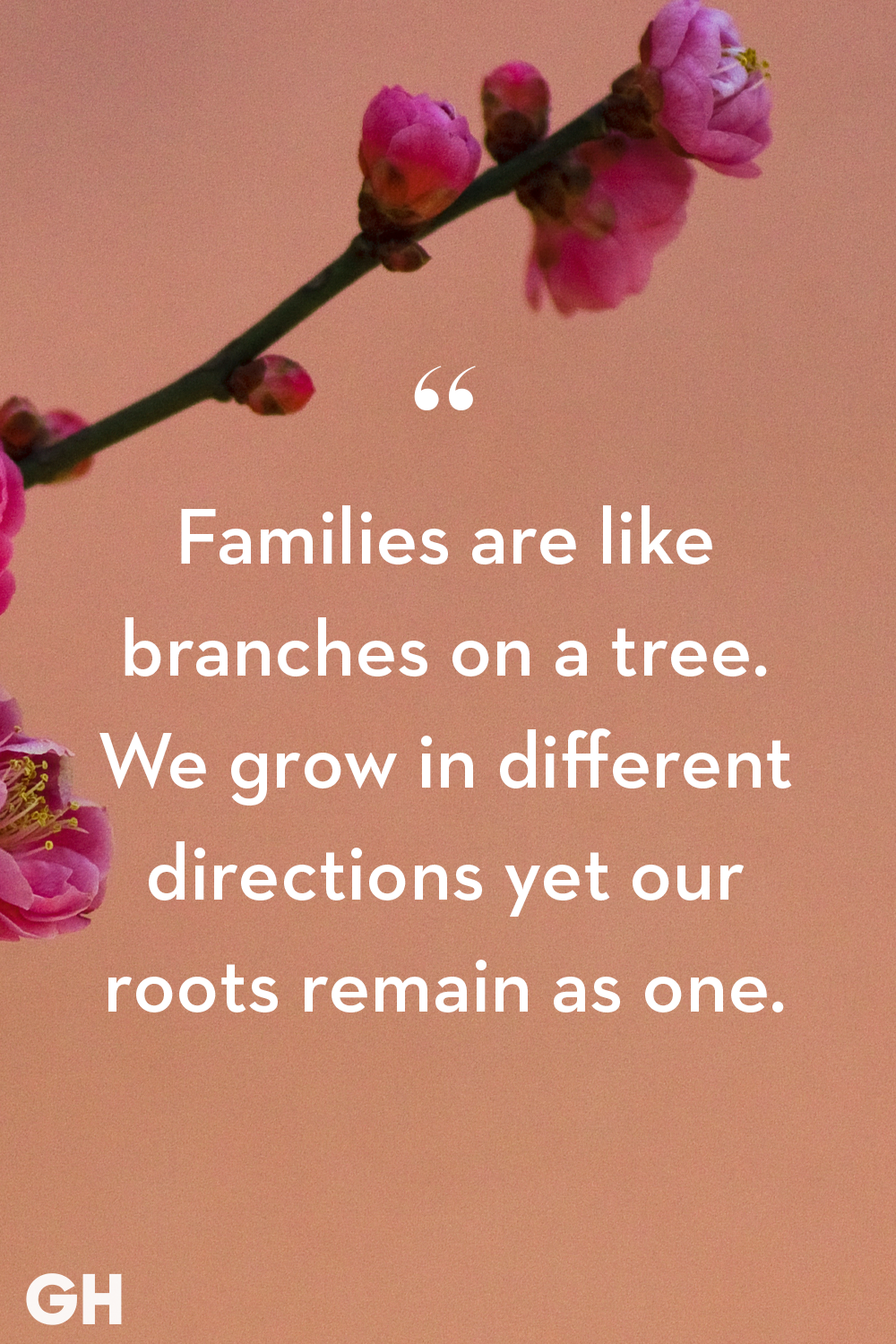 families are like branches on a tree. we grow in different directions yet our roots remain as one.