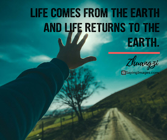 life comes from the earth and life returns to the earth.